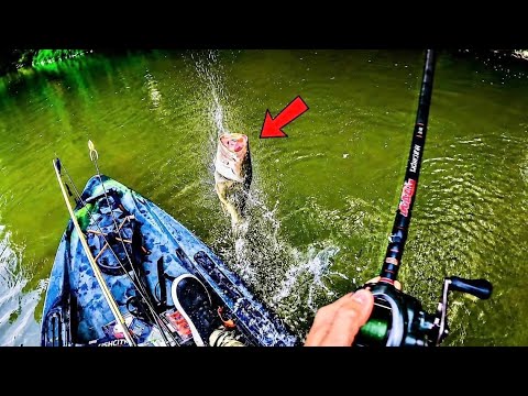 CRAZY River Bass DESTROYED My Frog