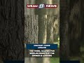 Century Code Update #news #localnews