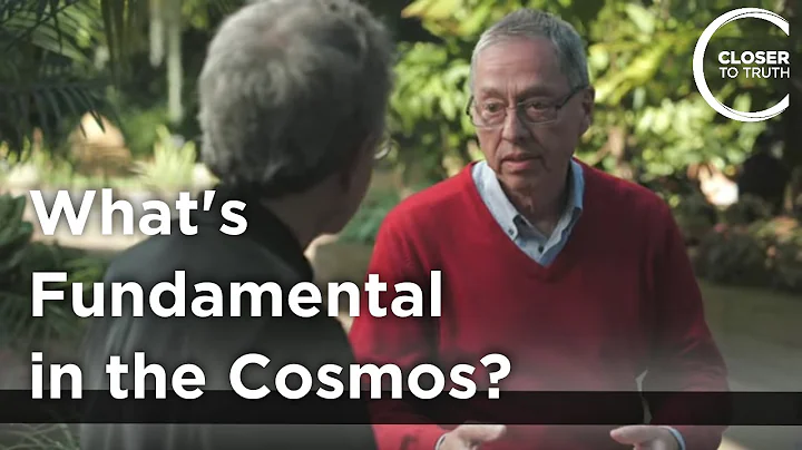 Lothar Schafer - What's Fundamental in the Cosmos?