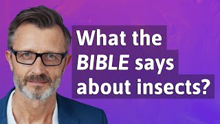What the Bible says about insects?