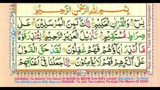 Surat Yasin Arab, Latin dan Terjemah Lengkap Surat Yasin Arab, Latin dan Artinya Surat Yasin Arab Sa