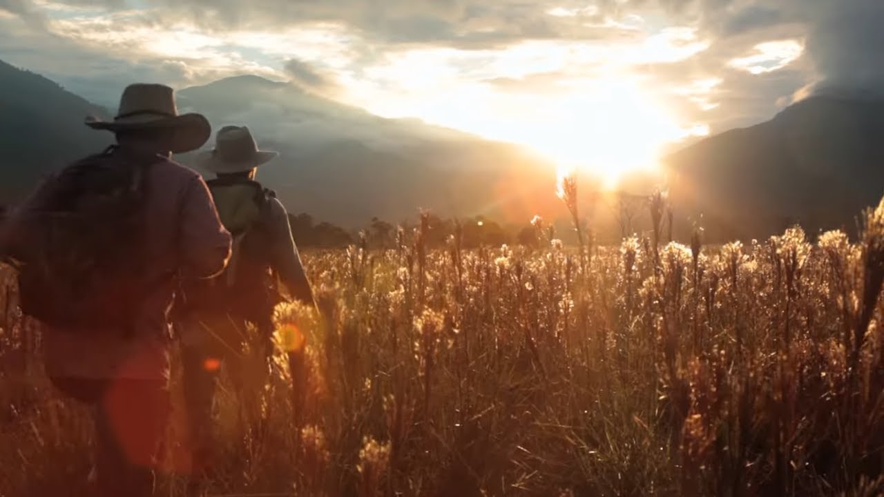 La Montana Pelicula 2020 Completa En Espanol Colombia Youtube