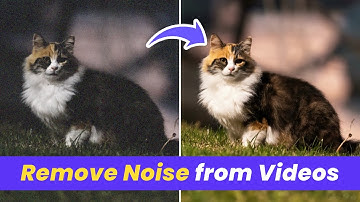 Remove Noise From Videos in Seconds（Easy Tutorial）