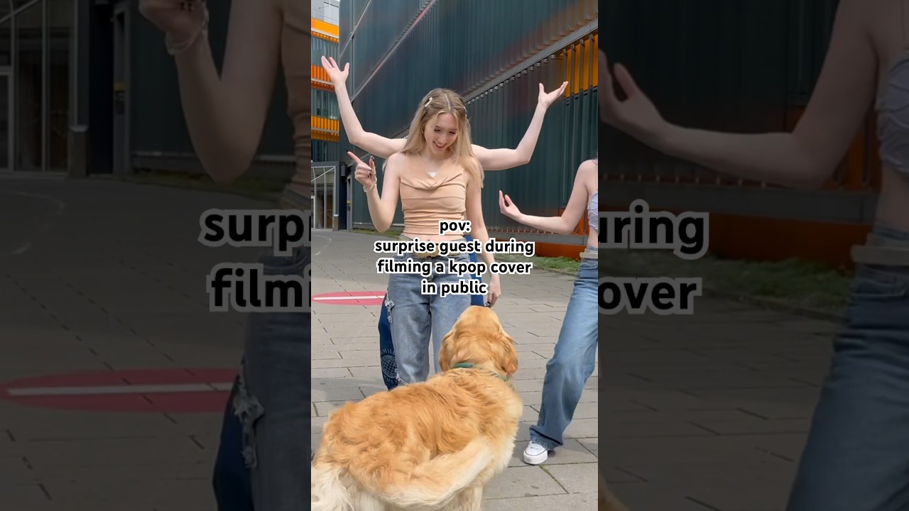 the struggles (or best moments) of filming kpop covers in public 