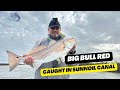 This Bull Red Pulled Me to My Knees All Around the Boat - Galveston East Bay