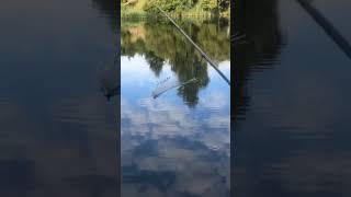 окунь на уолкеры ручной работы