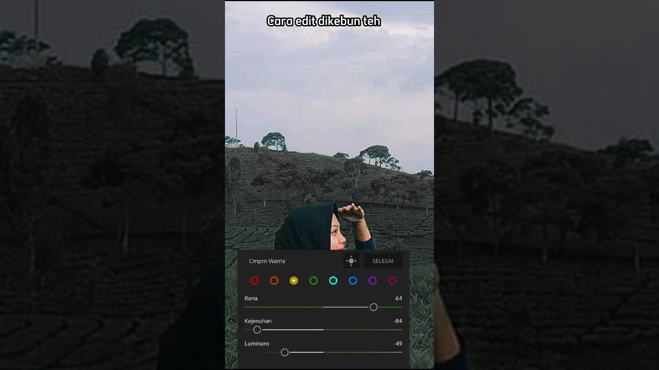 cara edit foto di kebun teh di lightroom