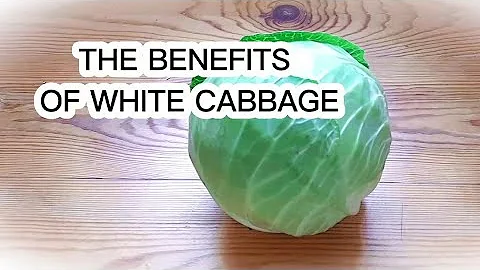THE BENEFITS OF WHITE CABBAGE#benefits...