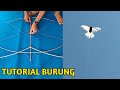Cara Membuat Layangan Burung