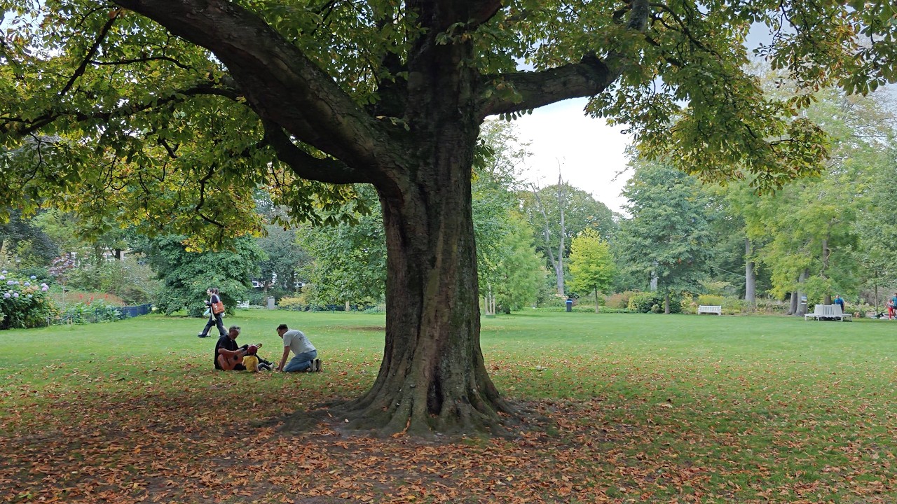 Midday Walk in The Hague: The Passage to Palace Garden (Paleistuin) | Netherlands 