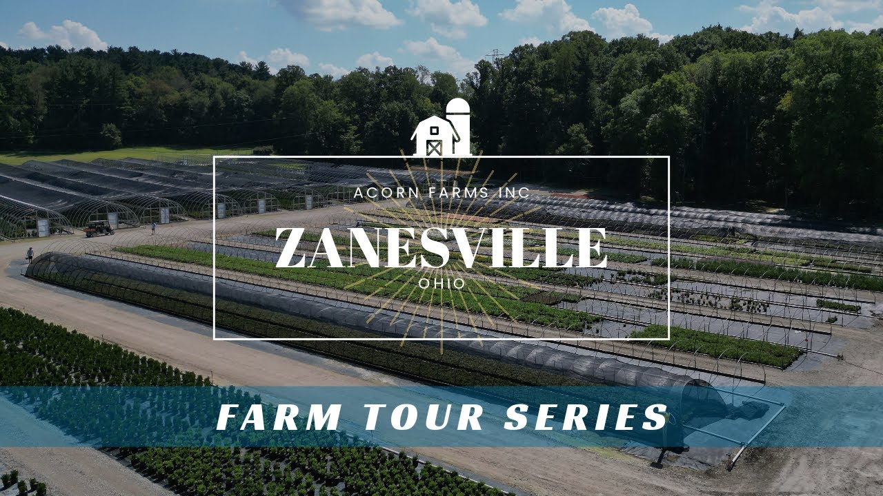 What's growing in Zanesville? Acorn Farms Primary Propagation Facility