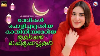 വേദികൾ പൊളിച്ചടുക്കിയ തകർപ്പൻ മാപ്പിളപ്പാട്ടുകൾ  | Mappila Songs | Malayalam |    #mappila