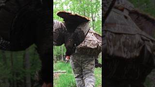 The season is nearing the end… #maine #hunting #outdoors #getoutside #hunt #turkey #turkeyhunt