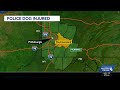 Police dog hurt while assisting in an arrest in Westmoreland County