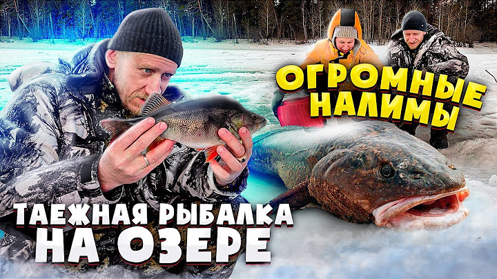 ТАЕЖНАЯ РЫБАЛКА на озере |ТАКИХ ОГРОМНЫХ НАЛИМОВ МЫ ВИДЕЛИ ТОЛЬКО НА КАРТИНКАХ | ЖЕРЛИЦЫ НА ЩУКУ