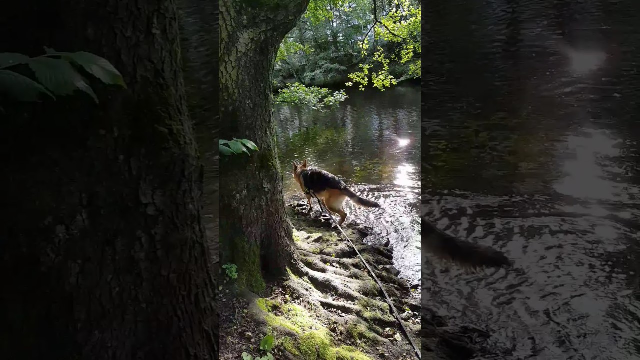 Rex. Oslo. Juni 2017.