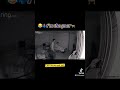  Just look at the kids reaction from Dad busting in the room 😂🤷🏽♂️ #funny #funnyvideos #prank
