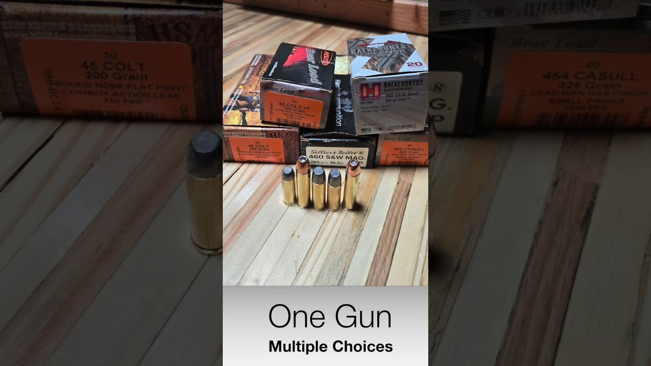 Are 460 Revolvers The Most Versatile??