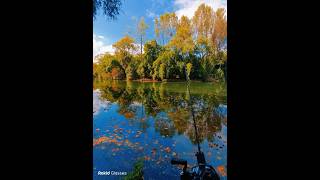 Where is your favorite fishing spot? #rokidglasses #rokid