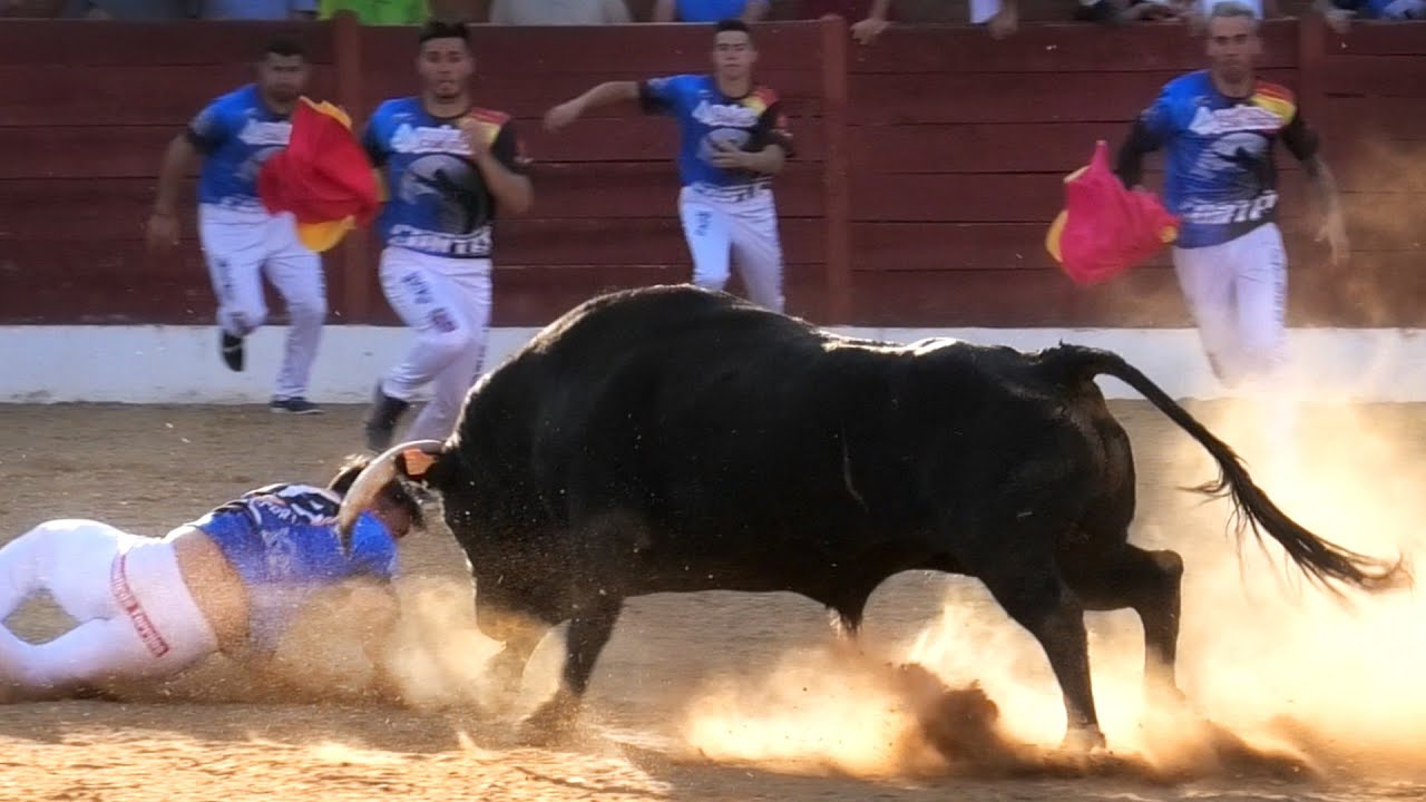 Fuentesaúco Concurso con Toros Bravos 2023