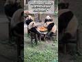 When Pandas are having a better holiday than yours 🐼#animalloverforlife #panda #wildanimals #zoo