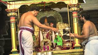 Kanchi Varadarajan - Pallava Uthsavam 2024 - Day 04 -  Part 01 (4K)_46m 30s by Ranganathan Srinivasan 649 views 1 month ago 46 minutes