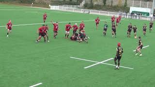 stade toulousain / u s Carcassonne juniors