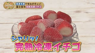 み　　新鮮いちごの冷凍 7fbcc6f5b8a24bd2ab148f78ecf356