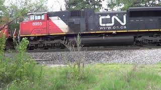 CN Freights | Slow CN Manifest with 3 Engines!