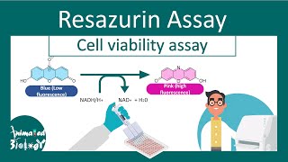 Resazurin Cell Viability Assay | Why Resazurin assay is performed? | principle and application .