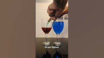 Make a Straw Siphon | Science Experiment | STEM Activity #shorts #science #scienceexperiment #diy