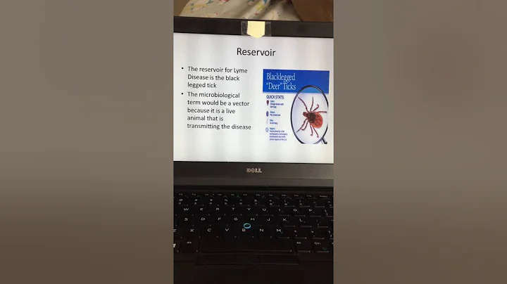 Lehr Microbiology Viral Presentation