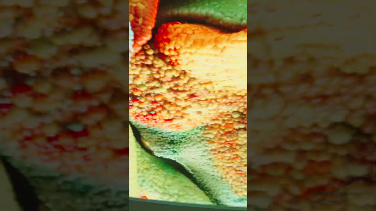 Digital Art Gallery - Gorizia