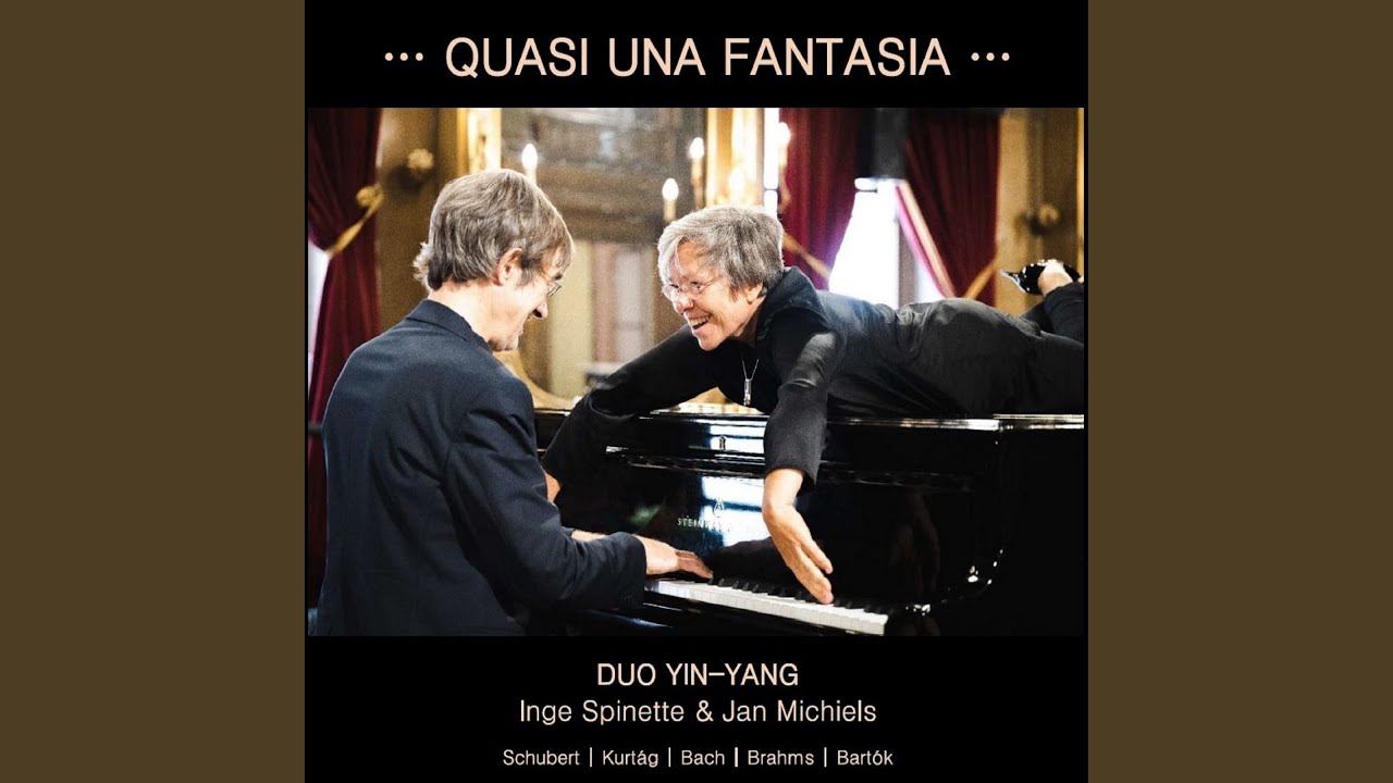 Fantasie D.940 - Allegro vivace