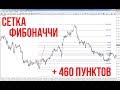 Как заработать 460 пунктов за неделю | Сетка Фибоначчи