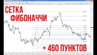 Как заработать 460 пунктов за неделю | Сетка Фибоначчи