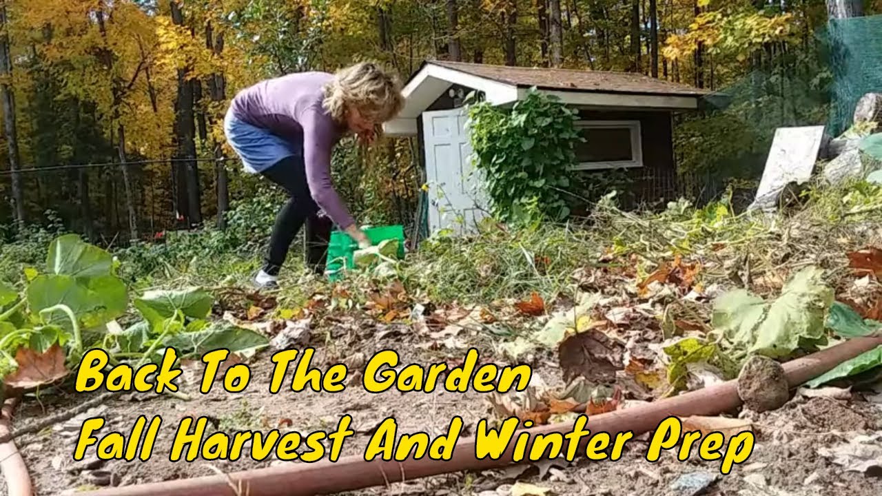 PREPARING YOUR GARDEN FOR FALL HARVEST AND WINTER - YouTube