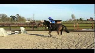 M4H03154 mpeg1video