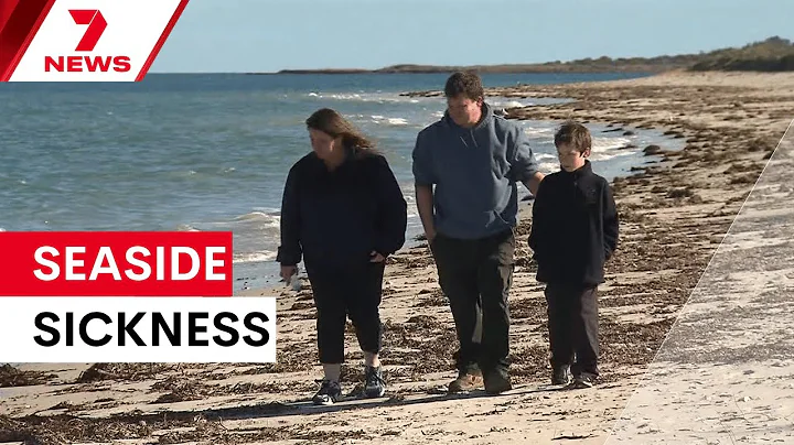 Algal bloom's impacts on South Australians' health | 7NEWS