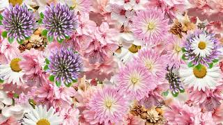 Flower animated background 10 #background