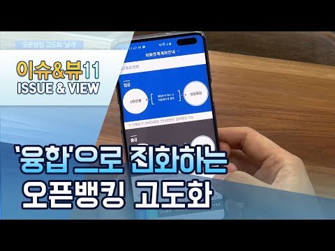 [오픈뱅킹 원년]①&amp;#39;융합&amp;#39;으로 진화 거듭...<strong>해외진출</strong> &amp;#39;첨병&amp;#39;도 / 머니투데이방송 (뉴스)