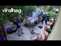 Neighbor Calls Police on Parrot || ViralHog