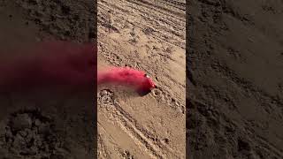 Pull String Color Smoke Grenade by Bright Star Fireworks💨 #pyro #boom #4thofjuly #fireworks