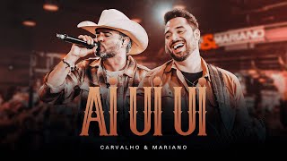 Ai ui ui - As mais animadas do sertanejo - Show ao vivo com Carvalho e Mariano