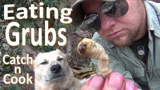 Giant Grubs! -Catch n Cook-