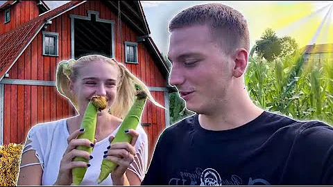 SIMKA I ZIVOJIN KRADU KUKURUZ!