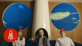 Crossing Paths With A Narwhal | The Magical Aquatic World with Philippe Cousteau
