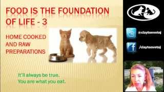 Making home cooked or raw pet food with Dr. Morgan-Webinar 3