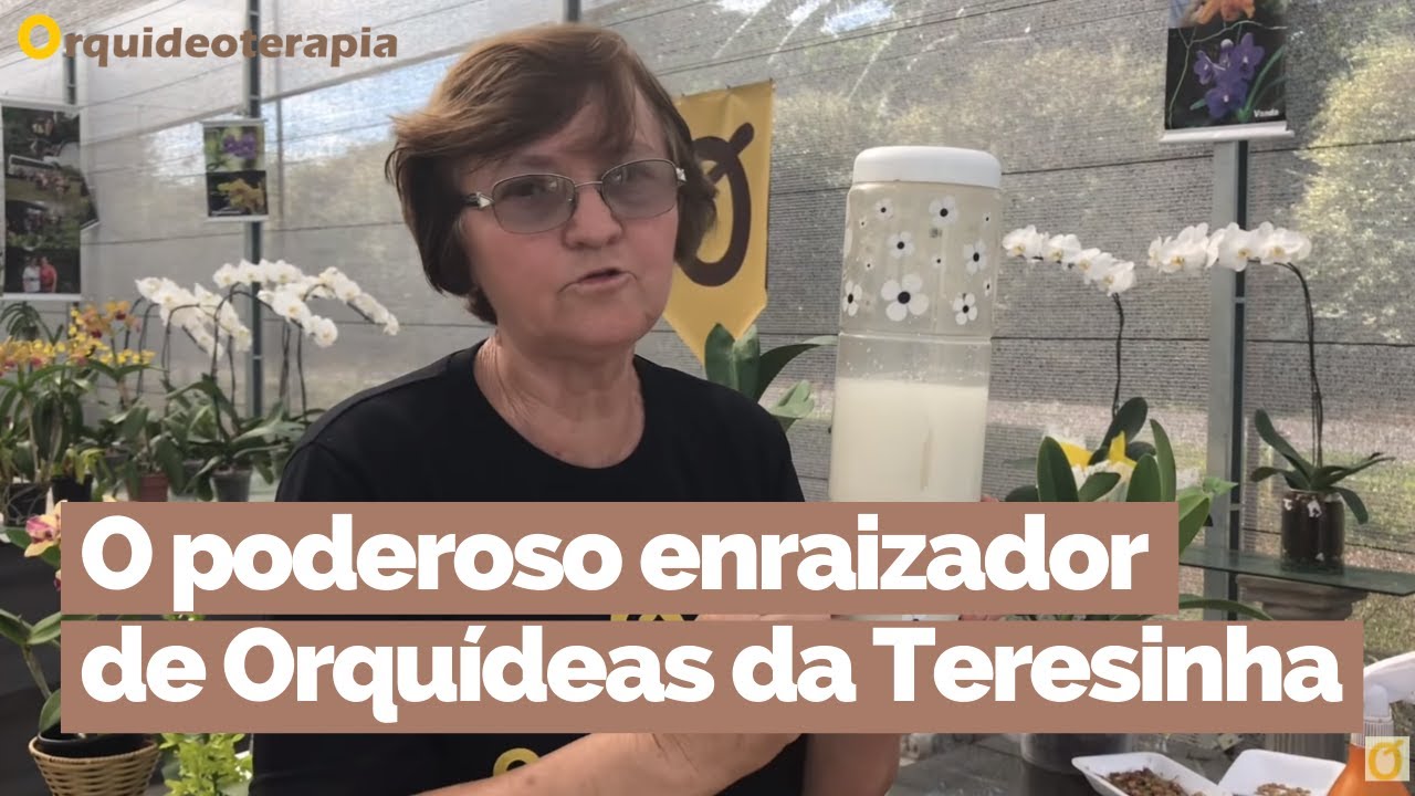 Aprenda a fazer um poderoso enraizador natural para Orquídeas | Orquideoterapia | Teresinha Kunz