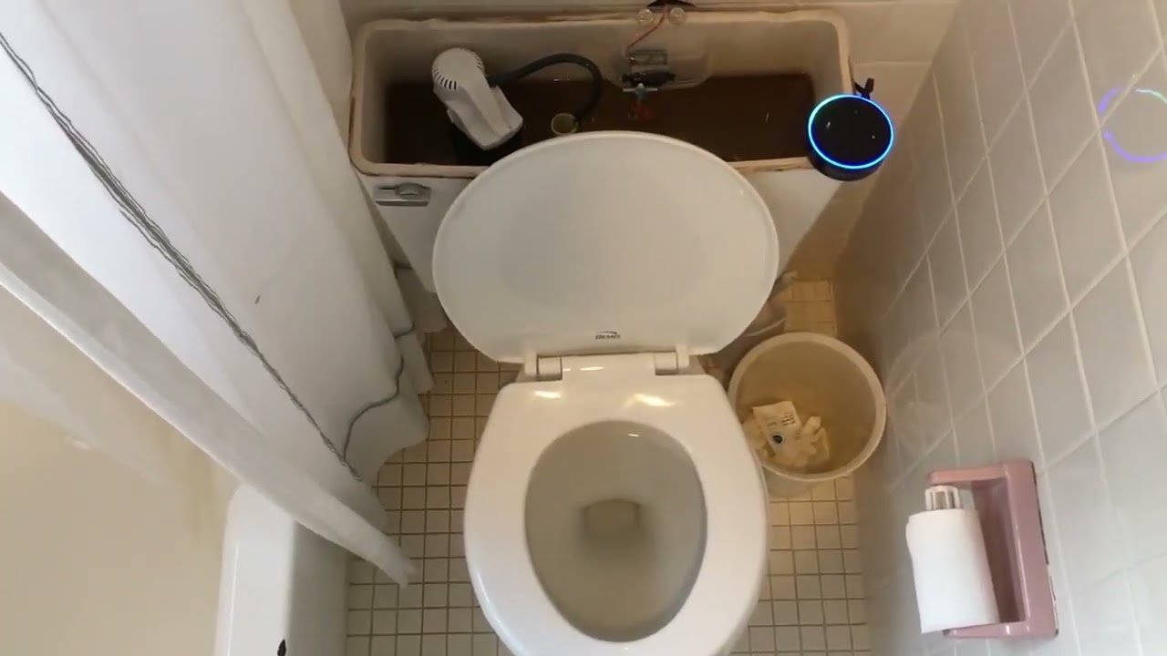 An Alexa-Powered Toilet (2017)